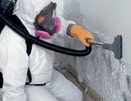 Best Mold Odor Removal Services  in West Newton, PA